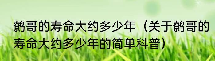 鹩哥的寿命大约多少年（关于鹩哥的寿命大约多少年的简单科普）