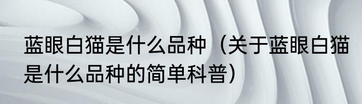 蓝眼白猫是什么品种（关于蓝眼白猫是什么品种的简单科普）