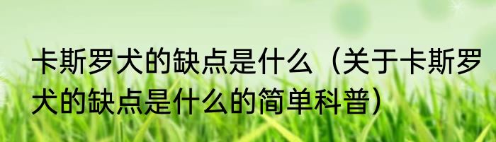 卡斯罗犬的缺点是什么（关于卡斯罗犬的缺点是什么的简单科普）