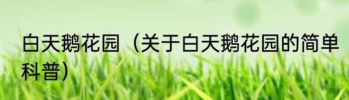 白天鹅花园（关于白天鹅花园的简单科普）