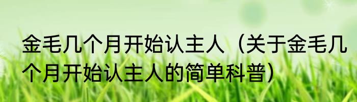 金毛几个月开始认主人（关于金毛几个月开始认主人的简单科普）