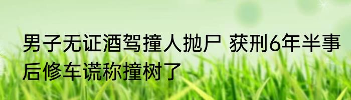 男子无证酒驾撞人抛尸 获刑6年半事后修车谎称撞树了