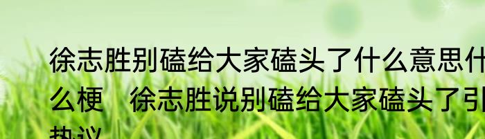 徐志胜别磕给大家磕头了什么意思什么梗   徐志胜说别磕给大家磕头了引热议