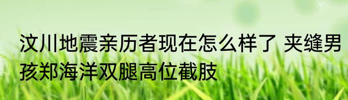 汶川地震亲历者现在怎么样了 夹缝男孩郑海洋双腿高位截肢