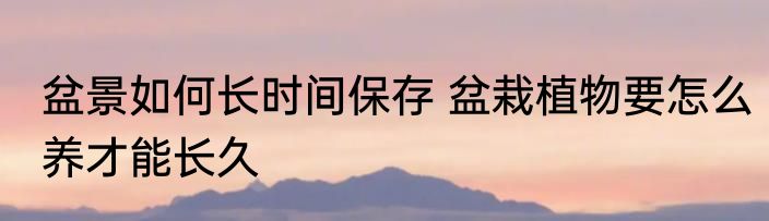 盆景如何长时间保存 盆栽植物要怎么养才能长久
