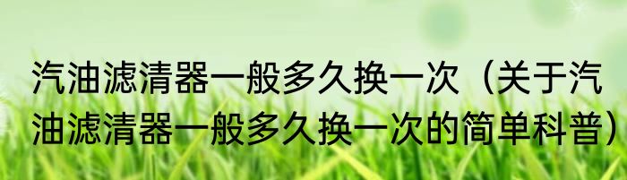 汽油滤清器一般多久换一次（关于汽油滤清器一般多久换一次的简单科普）