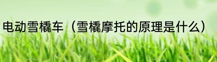 电动雪橇车（雪橇摩托的原理是什么）