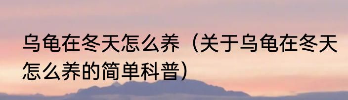 乌龟在冬天怎么养（关于乌龟在冬天怎么养的简单科普）
