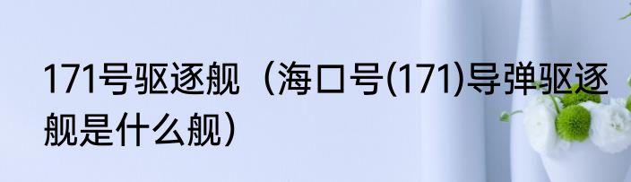 171号驱逐舰（海口号(171)导弹驱逐舰是什么舰）