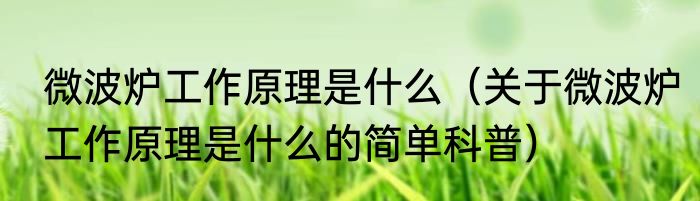 微波炉工作原理是什么（关于微波炉工作原理是什么的简单科普）