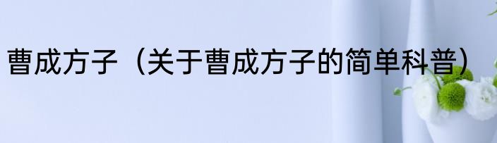 曹成方子（关于曹成方子的简单科普）