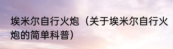 埃米尔自行火炮（关于埃米尔自行火炮的简单科普）