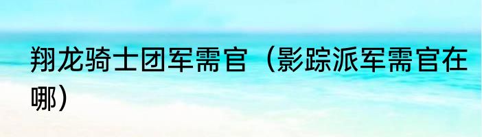翔龙骑士团军需官（影踪派军需官在哪）