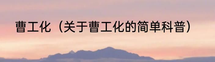 曹工化（关于曹工化的简单科普）