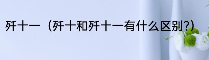 歼十一（歼十和歼十一有什么区别?）