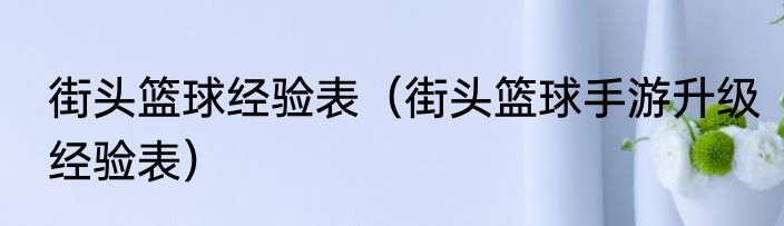 街头篮球经验表（街头篮球手游升级经验表）