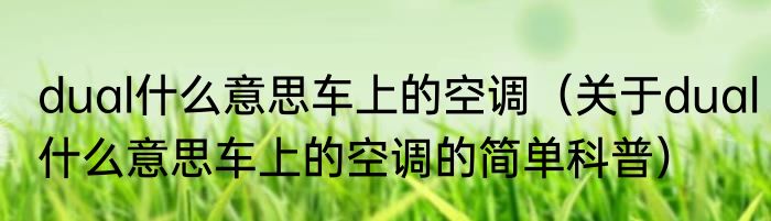 dual什么意思车上的空调（关于dual什么意思车上的空调的简单科普）