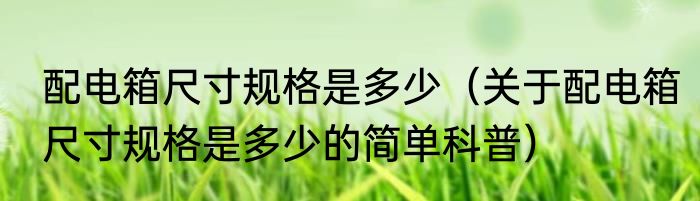 配电箱尺寸规格是多少（关于配电箱尺寸规格是多少的简单科普）