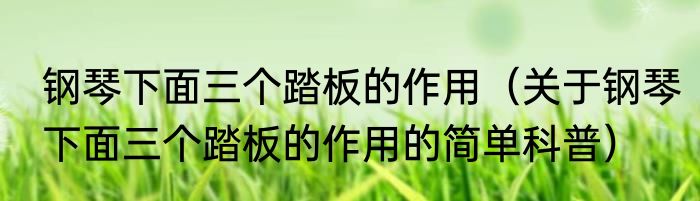 钢琴下面三个踏板的作用（关于钢琴下面三个踏板的作用的简单科普）