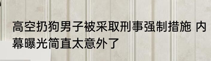 高空扔狗男子被采取刑事强制措施 内幕曝光简直太意外了