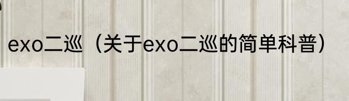 exo二巡（关于exo二巡的简单科普）
