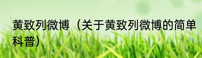 黄致列微博（关于黄致列微博的简单科普）