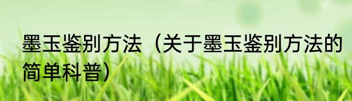 墨玉鉴别方法（关于墨玉鉴别方法的简单科普）
