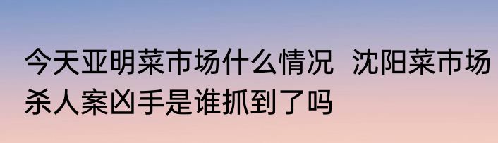 今天亚明菜市场什么情况  沈阳菜市场杀人案凶手是谁抓到了吗