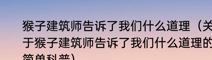猴子建筑师告诉了我们什么道理（关于猴子建筑师告诉了我们什么道理的简单科普）