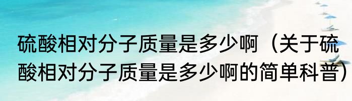 硫酸相对分子质量是多少啊（关于硫酸相对分子质量是多少啊的简单科普）