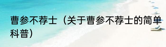 曹参不荐士（关于曹参不荐士的简单科普）