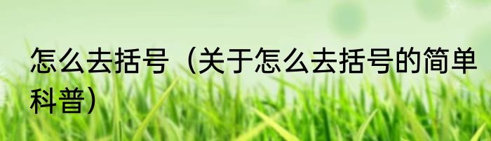 怎么去括号（关于怎么去括号的简单科普）