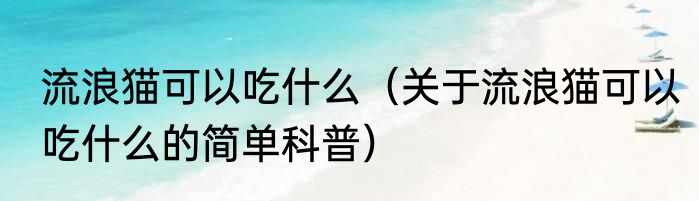 流浪猫可以吃什么（关于流浪猫可以吃什么的简单科普）