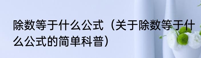 除数等于什么公式（关于除数等于什么公式的简单科普）