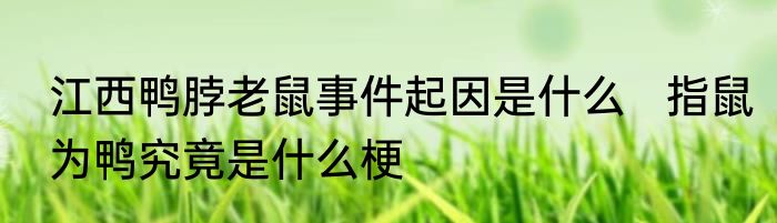 江西鸭脖老鼠事件起因是什么   指鼠为鸭究竟是什么梗