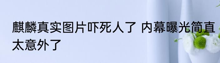 麒麟真实图片吓死人了 内幕曝光简直太意外了