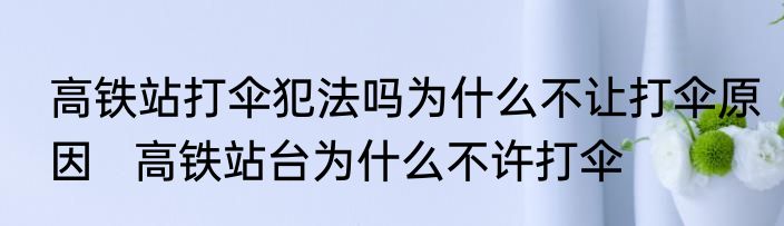 高铁站打伞犯法吗为什么不让打伞原因   高铁站台为什么不许打伞