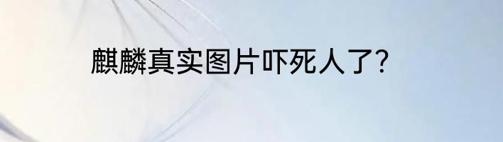 麒麟真实图片吓死人了？