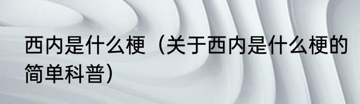 西内是什么梗（关于西内是什么梗的简单科普）