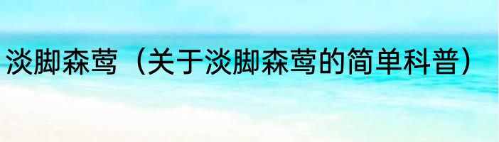 淡脚森莺（关于淡脚森莺的简单科普）