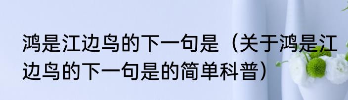 鸿是江边鸟的下一句是（关于鸿是江边鸟的下一句是的简单科普）