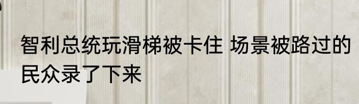 智利总统玩滑梯被卡住 场景被路过的民众录了下来