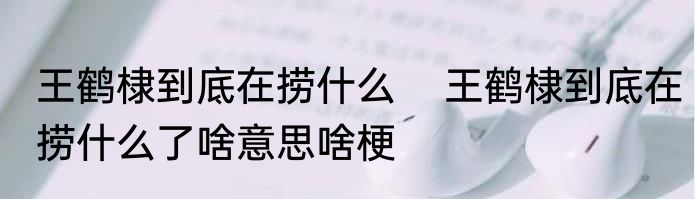 王鹤棣到底在捞什么    王鹤棣到底在捞什么了啥意思啥梗