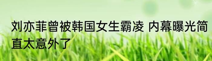 刘亦菲曾被韩国女生霸凌 内幕曝光简直太意外了