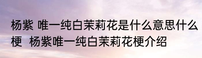 杨紫 唯一纯白茉莉花是什么意思什么梗  杨紫唯一纯白茉莉花梗介绍