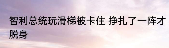 智利总统玩滑梯被卡住 挣扎了一阵才脱身