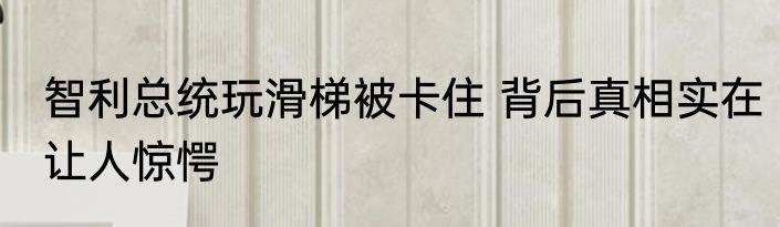 智利总统玩滑梯被卡住 背后真相实在让人惊愕