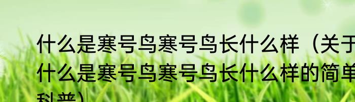 什么是寒号鸟寒号鸟长什么样（关于什么是寒号鸟寒号鸟长什么样的简单科普）