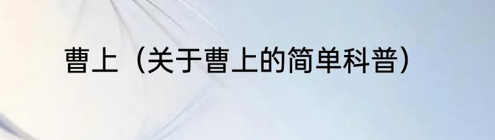 曹上（关于曹上的简单科普）