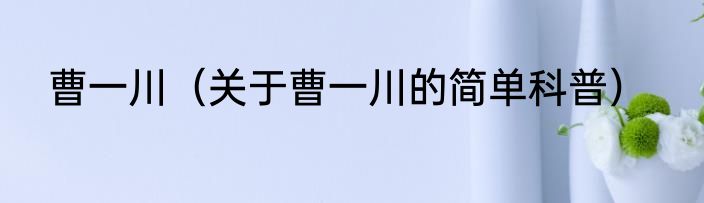 曹一川（关于曹一川的简单科普）